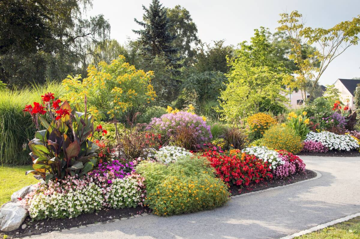 Pour quelles raisons aménager un massif végétal dans son jardin ? Riedisheim